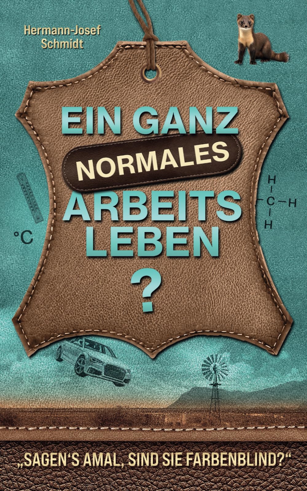 Ein ganz normales Arbeitsleben: „Sagen‘s amal, sind Sie farbenblind?“ Politics & Society