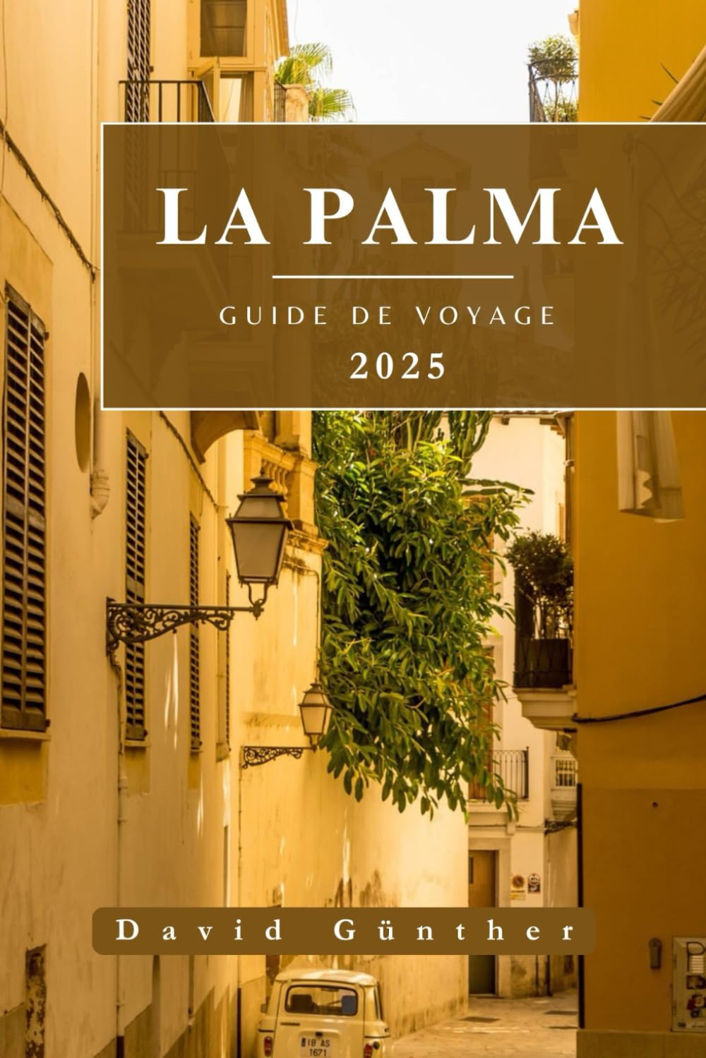 LA PALMA GUIDE DE VOYAGE: Informations et conseils essentiels pour préparer votre voyage : tout ce que vous devez savoir avant de partir book