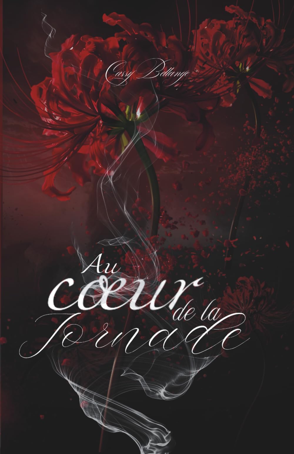 Au cœur de la tornade book