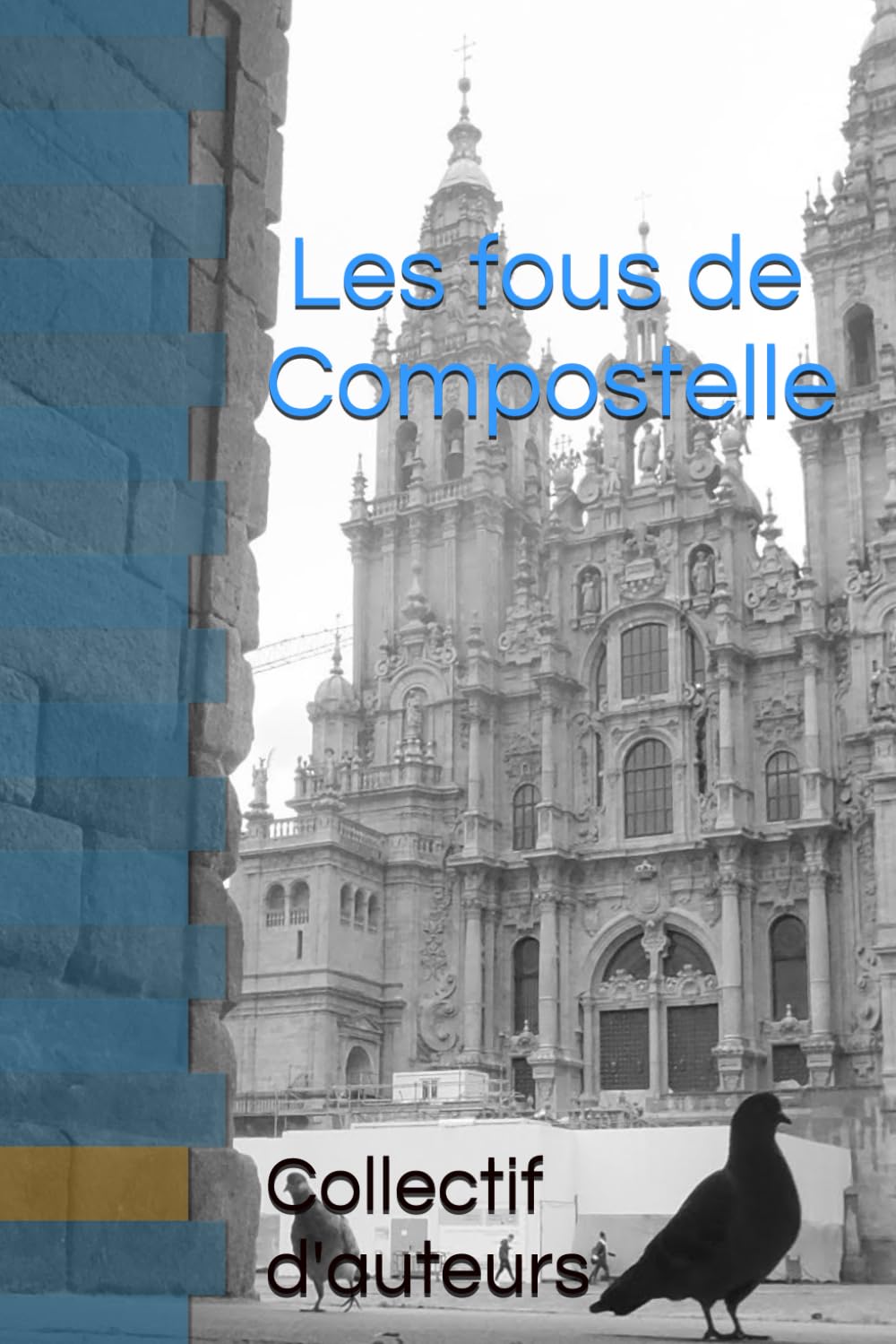 Les fous de compostelle book