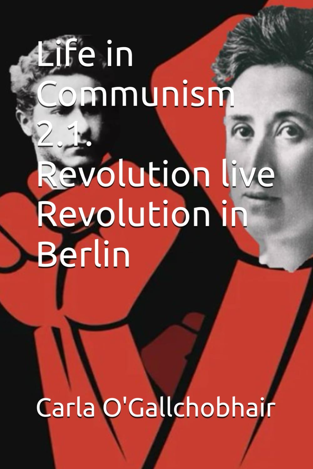 Life in Communism 2.1. Revolution live Revolution in Berlin Contemporary literature