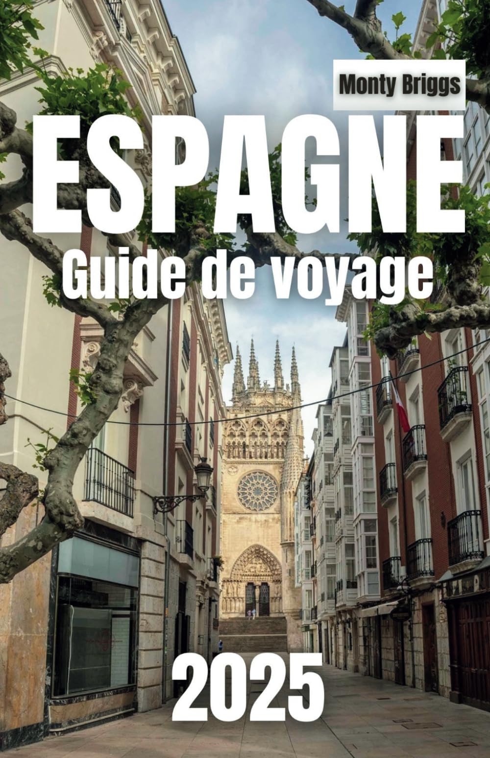 ESPAGNE Guide de voyage 2025: Explorez les principales attractions, les points forts régionaux, la cuisine authentique et les conseils d'initiés pour une aventure inoubliable (French Edition) book