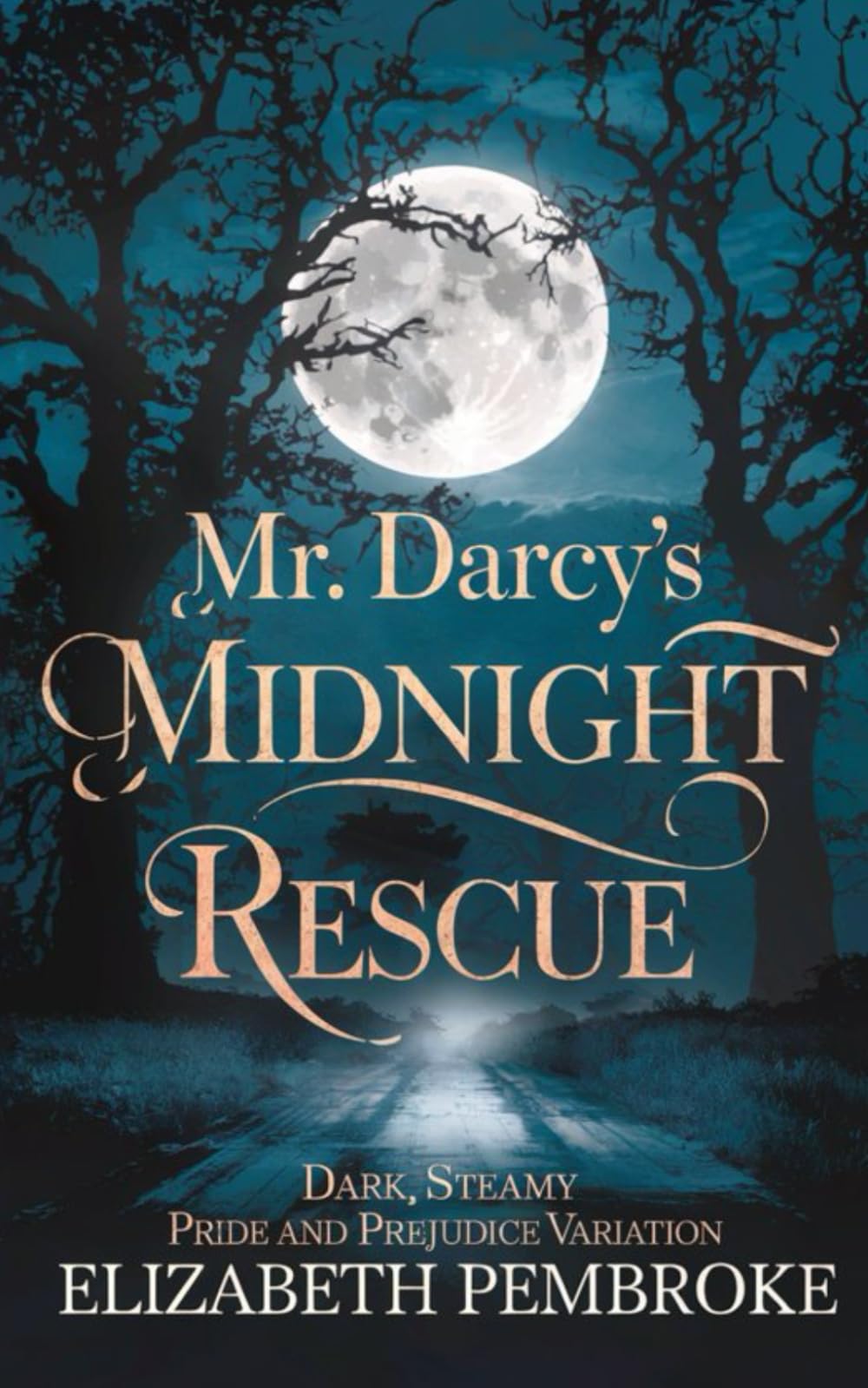 Mr. Darcy’s Midnight Rescue: Dark Steamy Pride and Prejudice Variation book