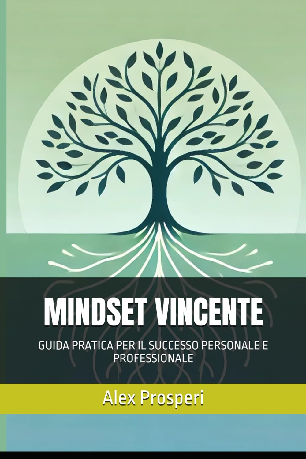 MINDSET VINCENTE: GUIDA PRATICA PER IL SUCCESSO PERSONALE E PROFESSIONALE book