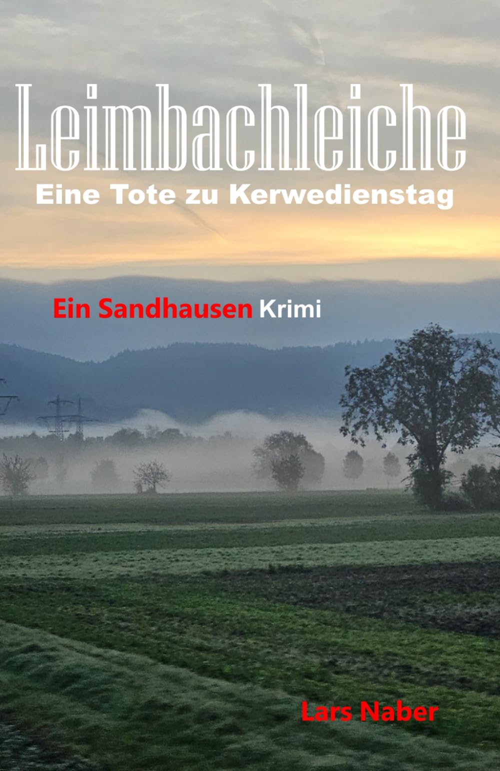 Leimbachleiche: Eine Tote zu Kerwedienstag - Ein Sandhausenkrimi Detective & CSI