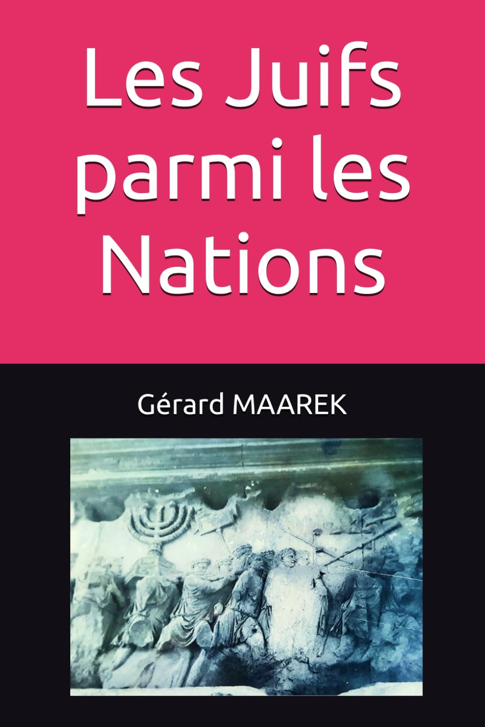 Les Juifs parmi les Nations book