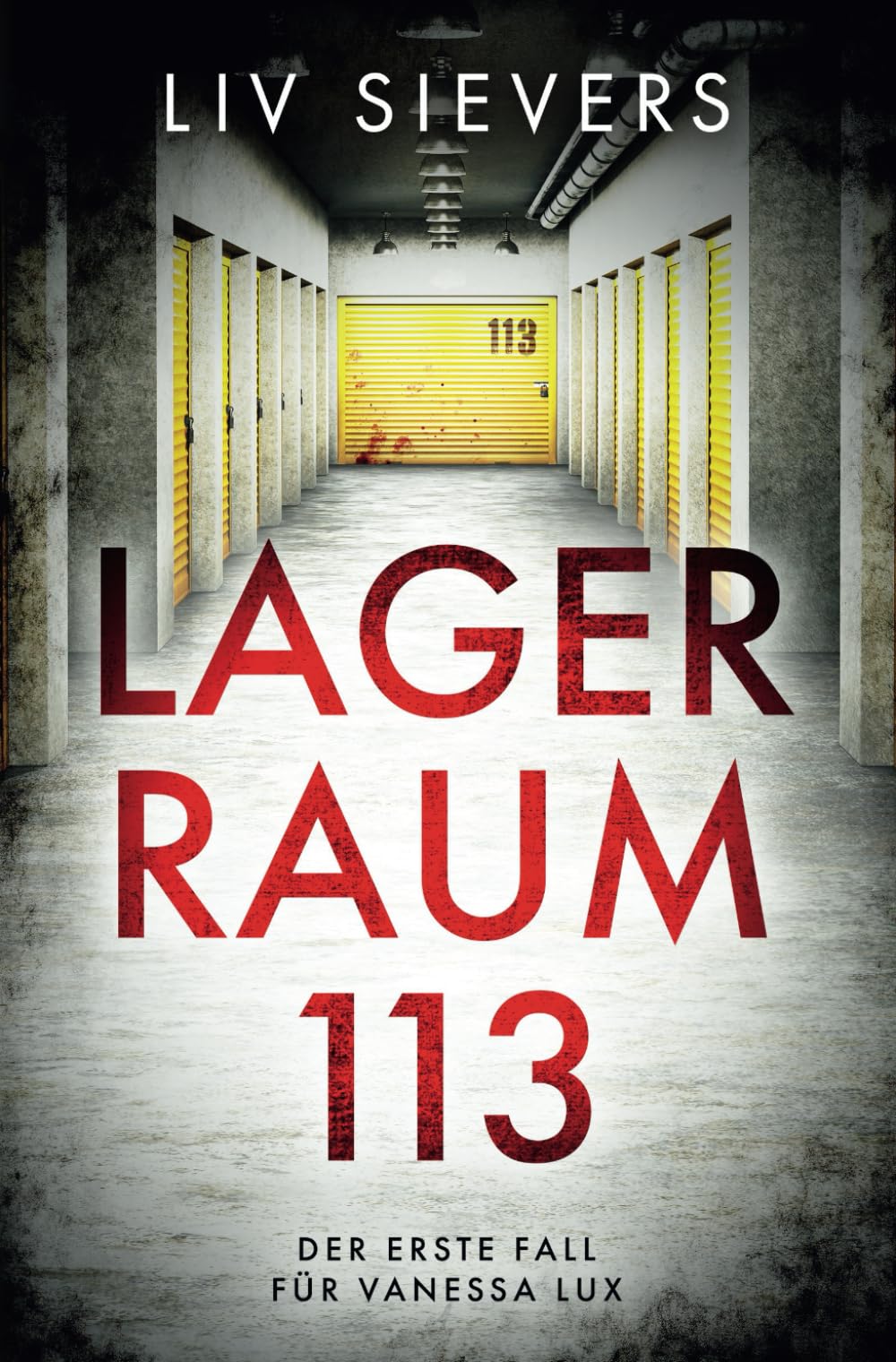 Lagerraum 113 (Vanessa Lux, Band 1) Detective & CSI