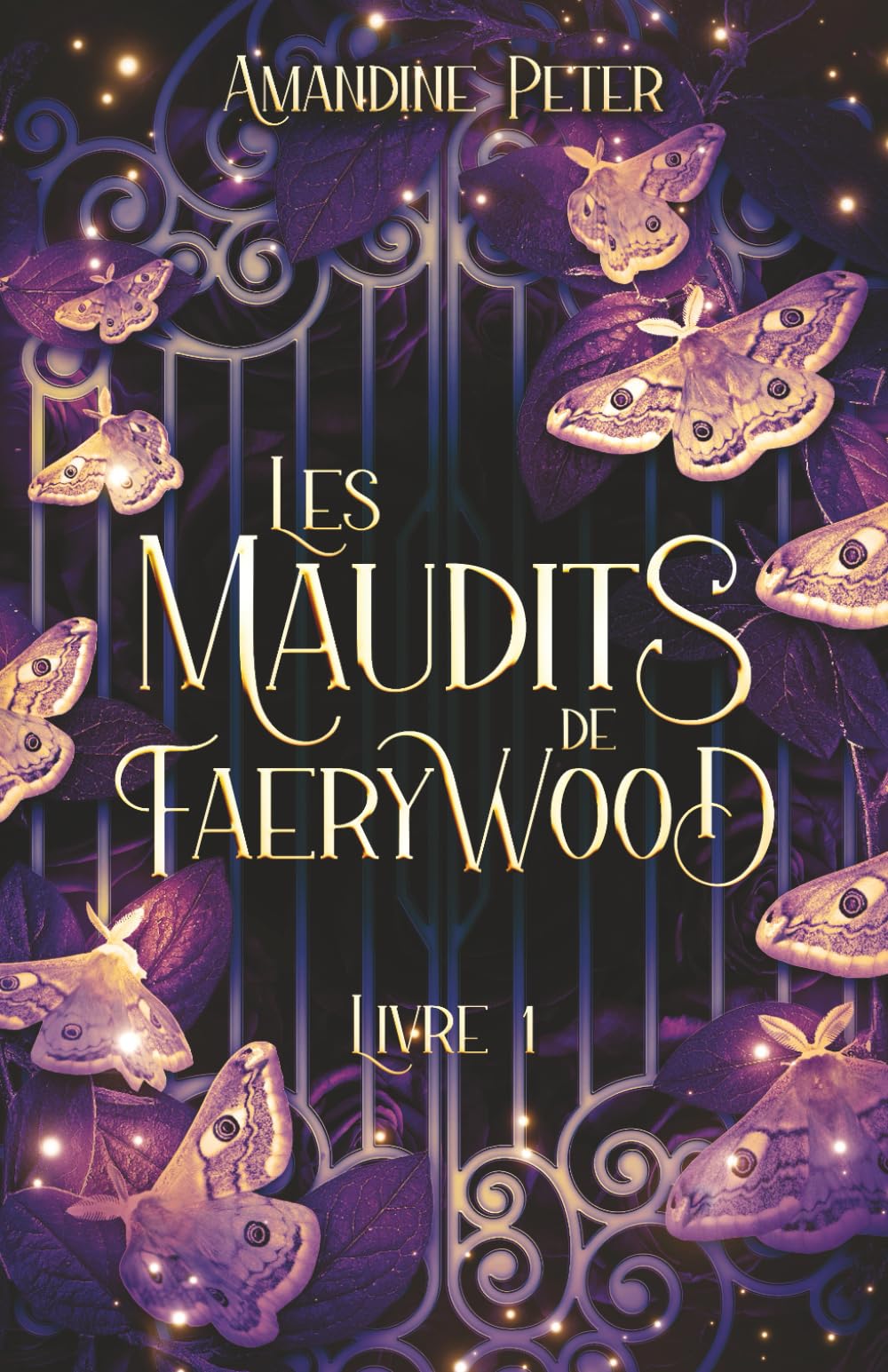 Les Maudits de Faerywood, Livre 1 book