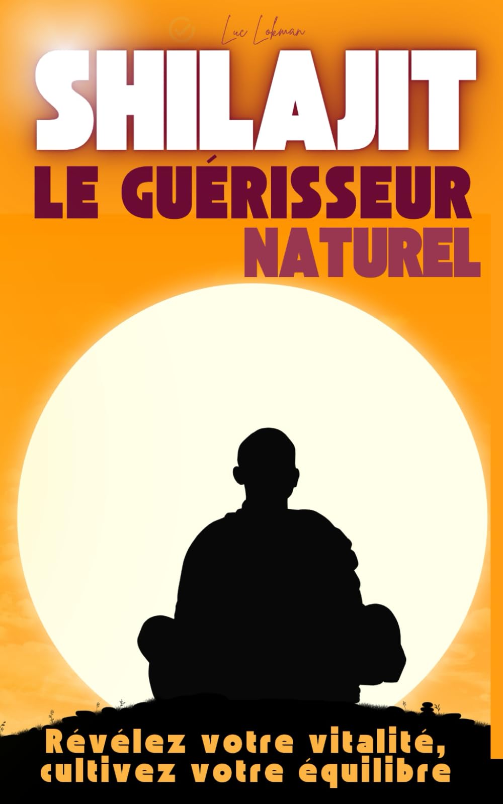 Shilajit: Le guérisseur naturel book