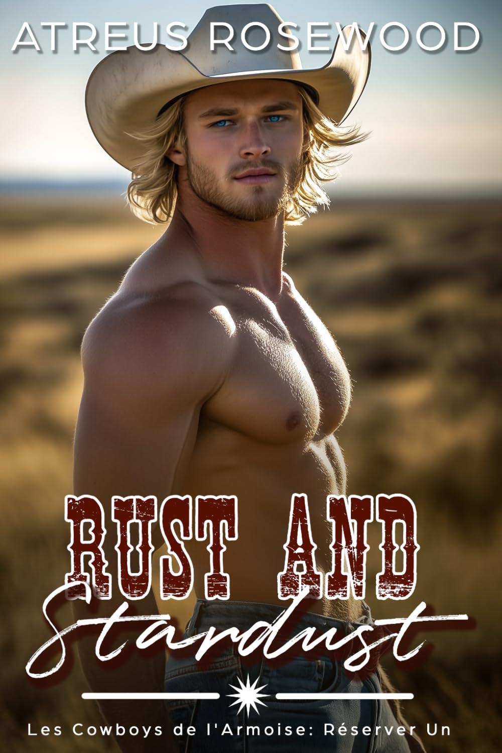 Rust and Stardust (version française): Une romance de cowboy gay book