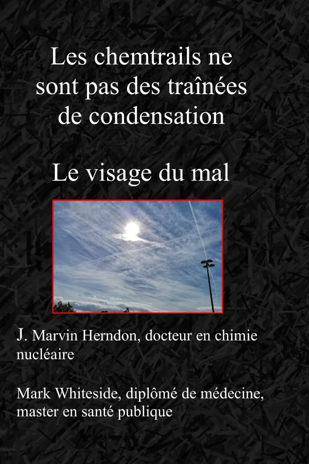 Les chemtrails ne sont pas des traînées de condensation: Le visage du mal book