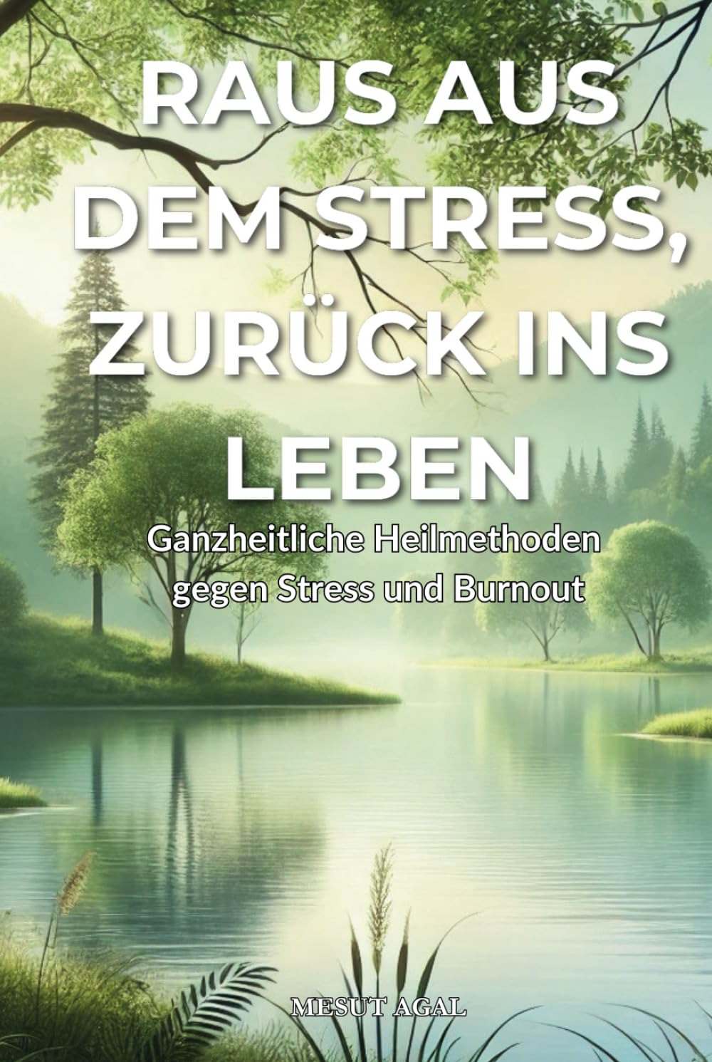 Raus aus dem Stress, zurück ins Leben - Ganzheitliche Heilmethoden gegen Stress und Burnout: Wie du Stress und Burnout überwindest und innere Stärke findest Health, Nutrition & Fitness
