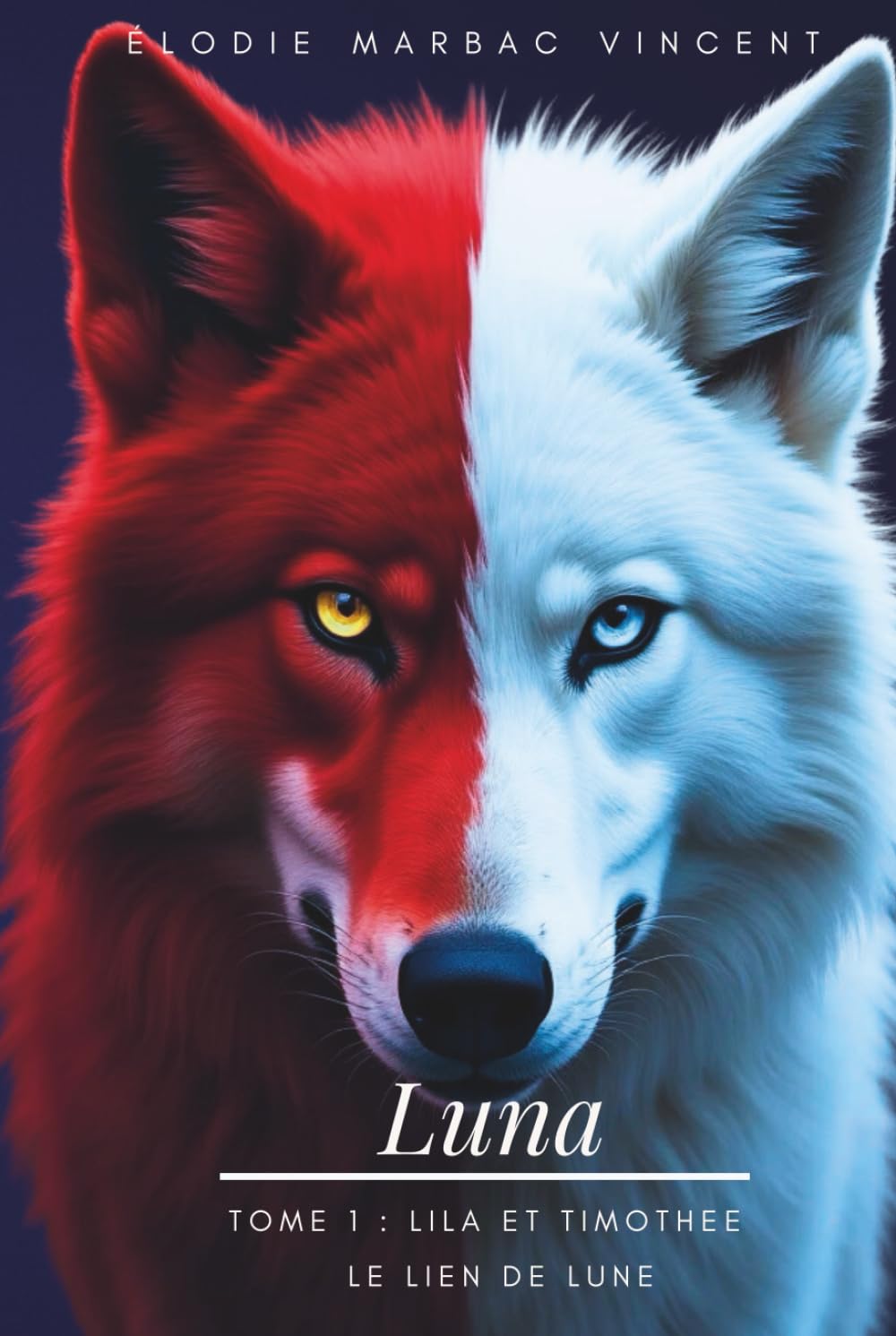 Luna Tome 1: Lila et Timothée : Le lien de Lune book