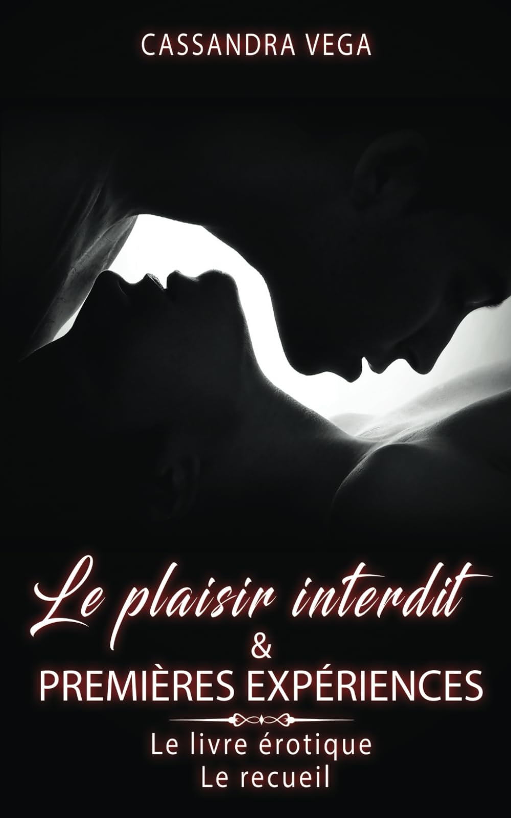 Le livre érotique - Le recureil: Le plaisir interdit & Premières expériences - 10 histoires de sexe chaudes et excitantes - Littérature érotique pour femmes, hommes et couples Eroticism