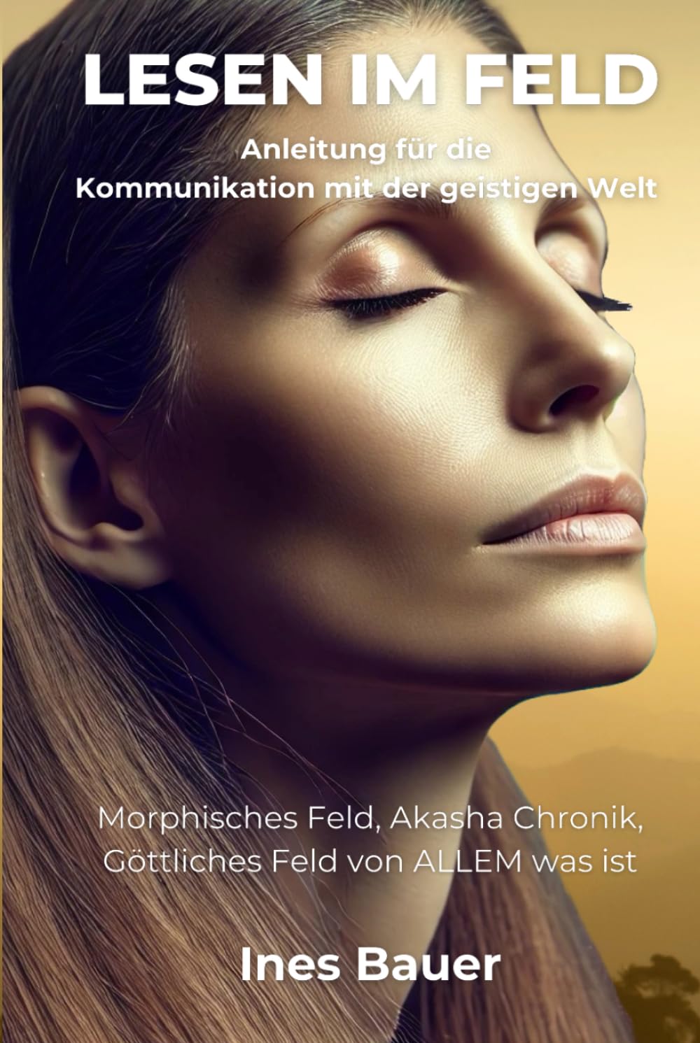 Lesen im Feld: Anleitung für die Kommunikation mit der geistigen Welt Religion & Esotericism
