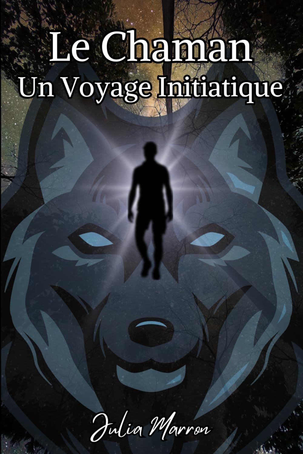 Le Chaman: Un Voyage Initiatique book