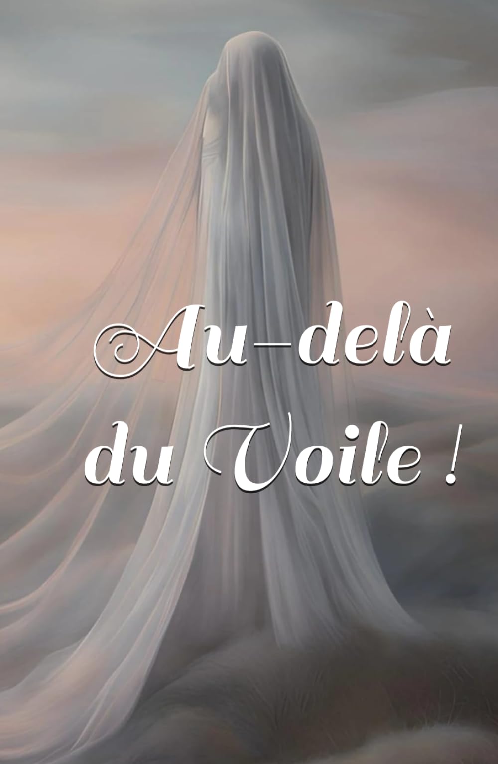 Au-delà du Voile ! book