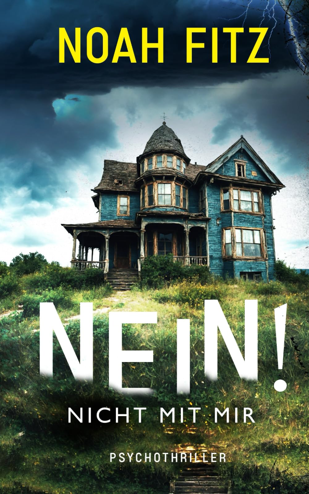 NEIN! - Nicht mit mir Contemporary literature Books