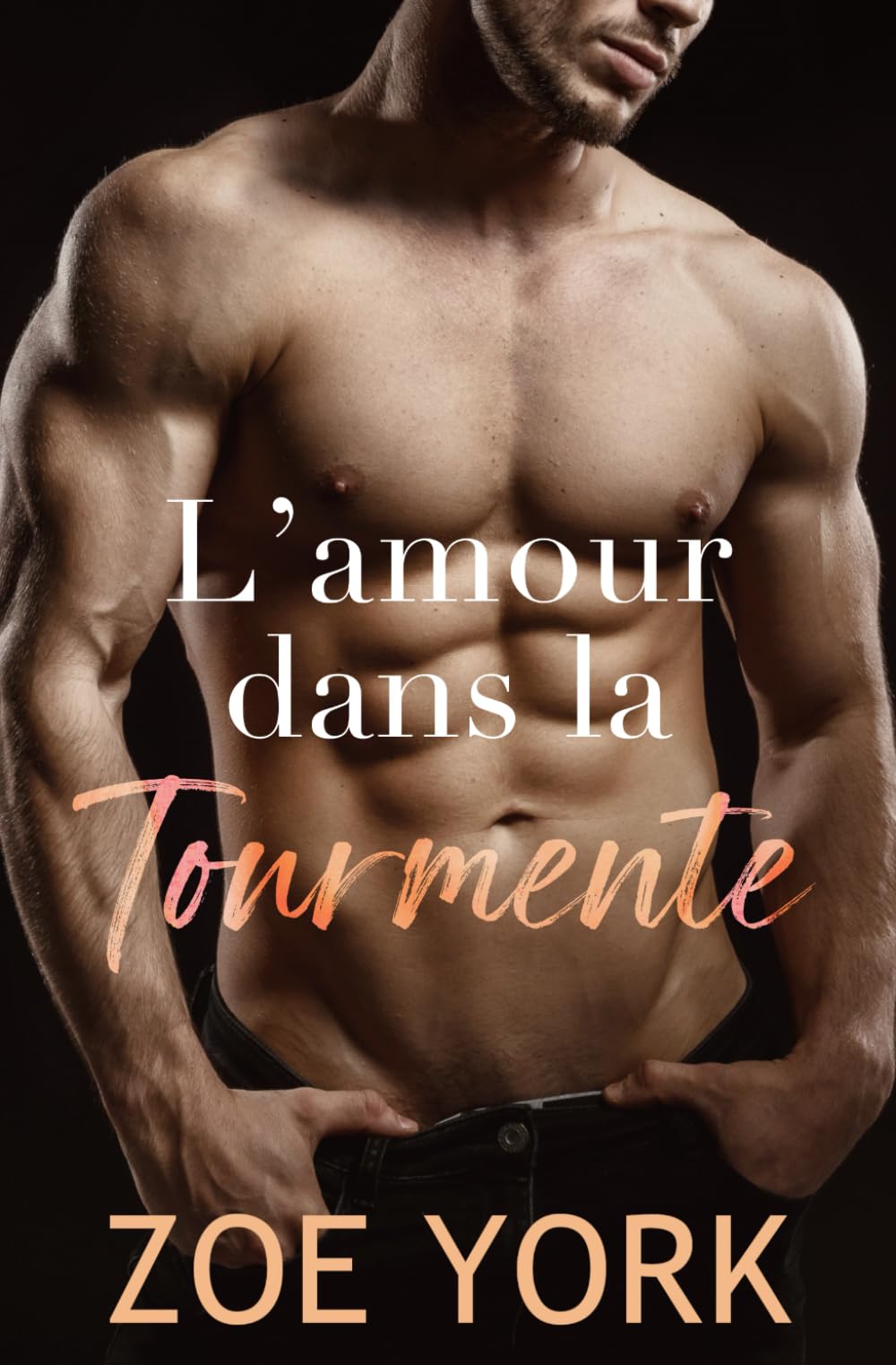 L'amour dans la tourmente book