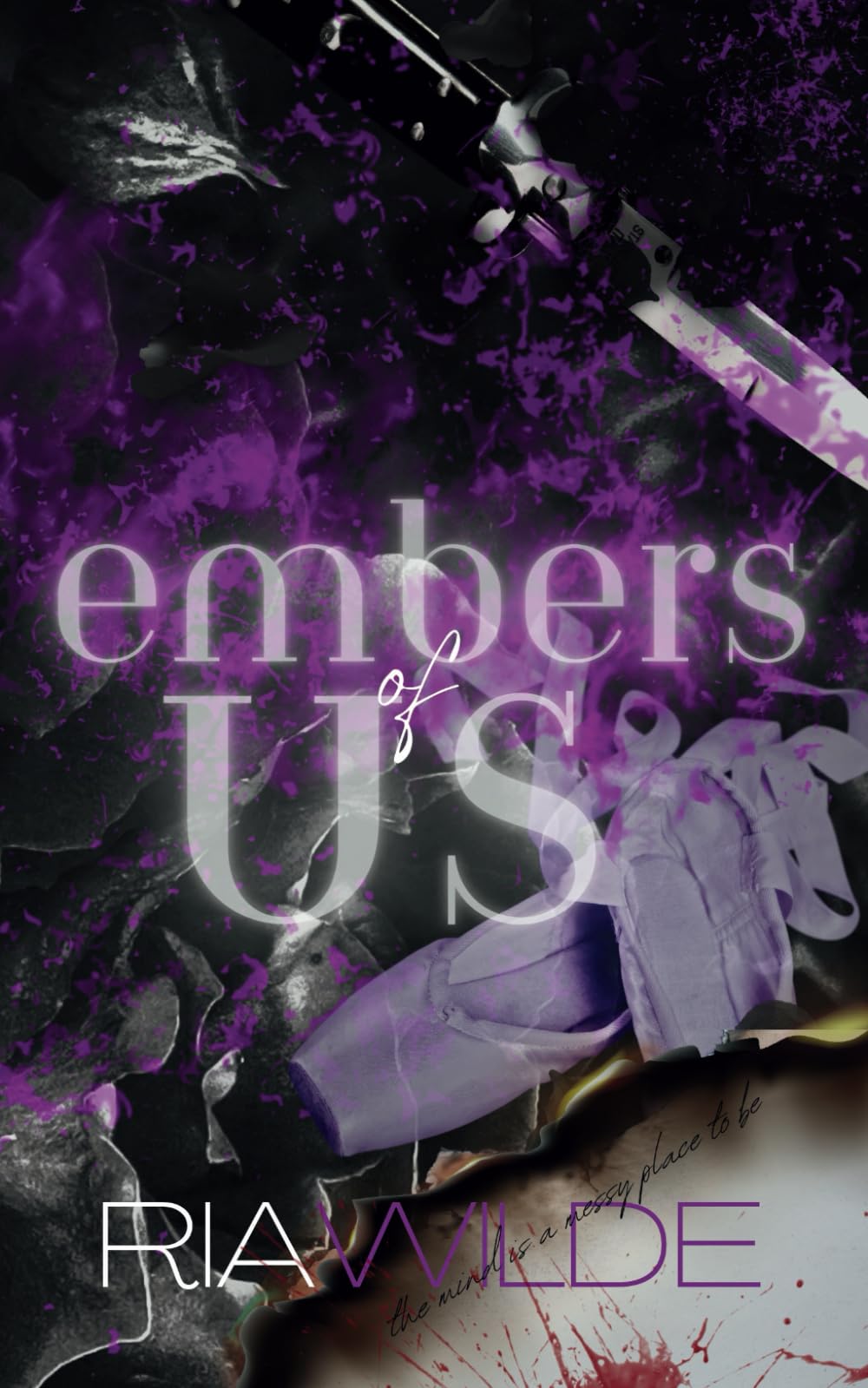 Embers of Us: A Standalone Dark Romance book