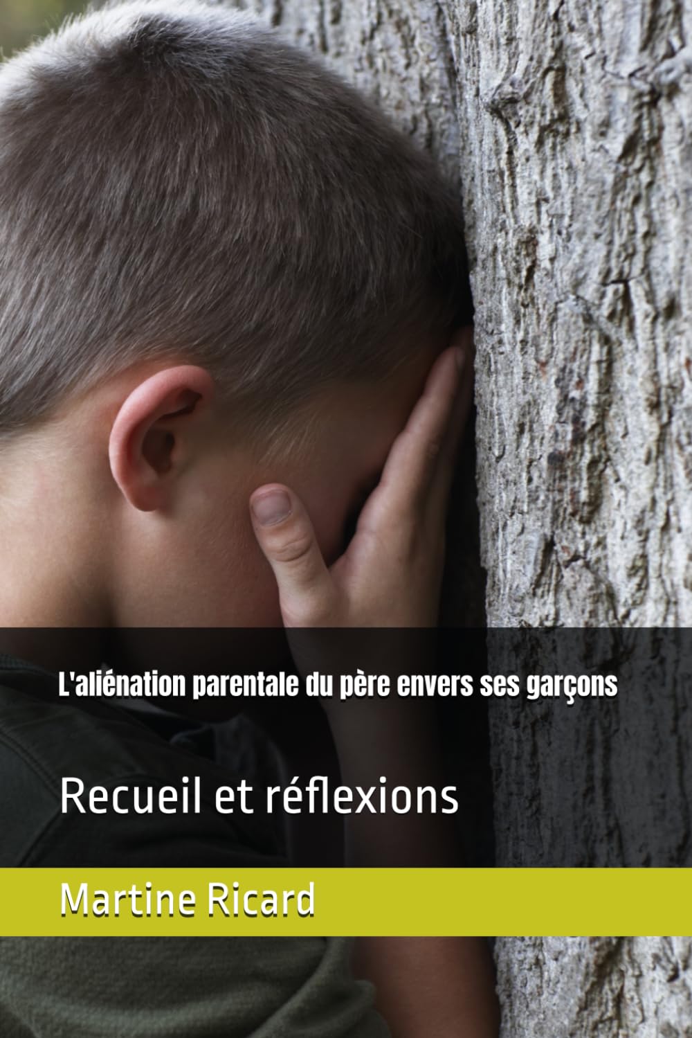 L'aliénation parentale du père envers ses garçons: Recueil et réflexions book