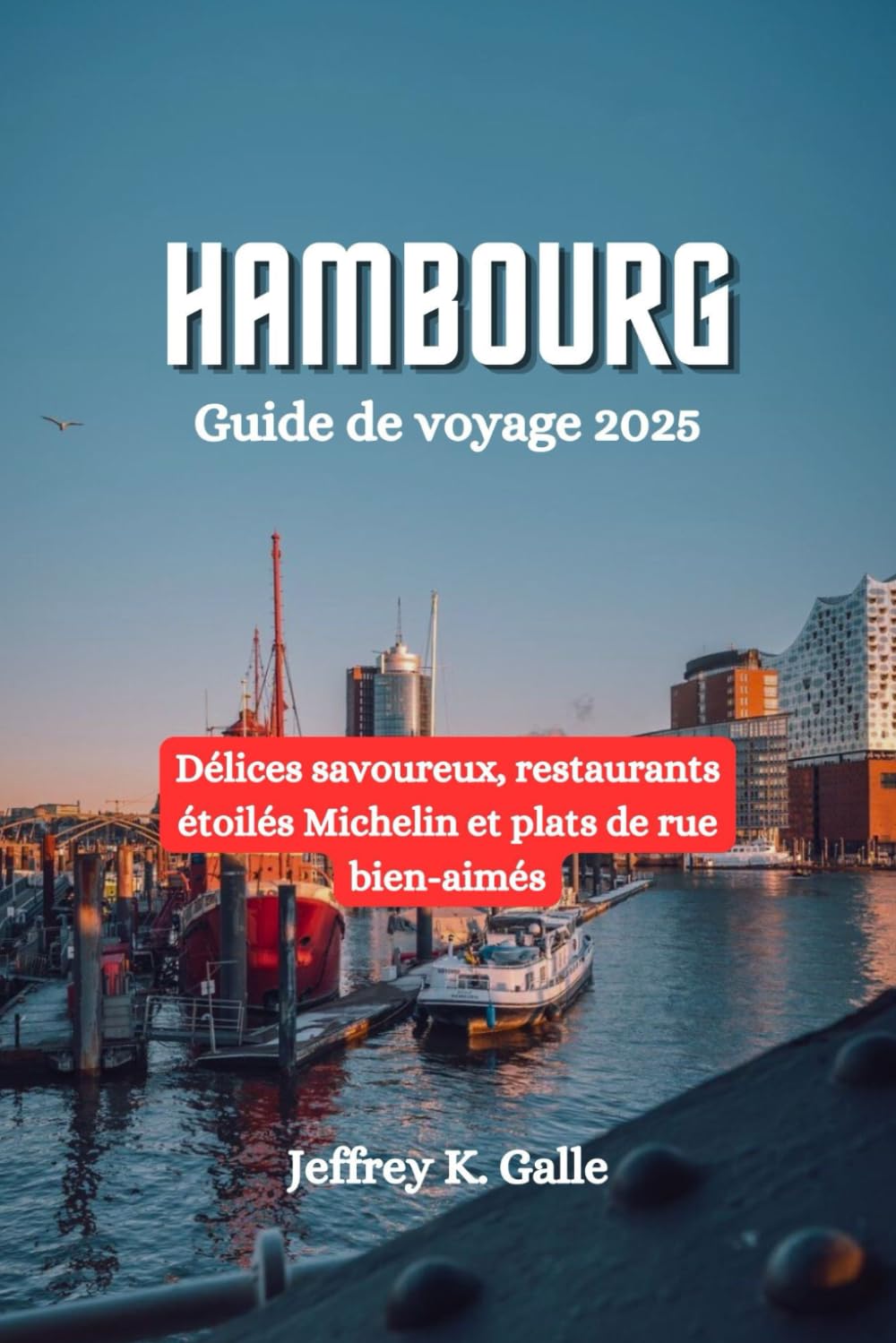 HAMBOURG Guide de voyage 2025: Délices savoureux, restaurants étoilés Michelin et plats de rue bien-aimés book
