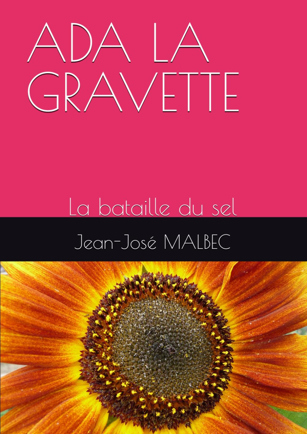 ADA LA GRAVETTE: La bataille du sel book
