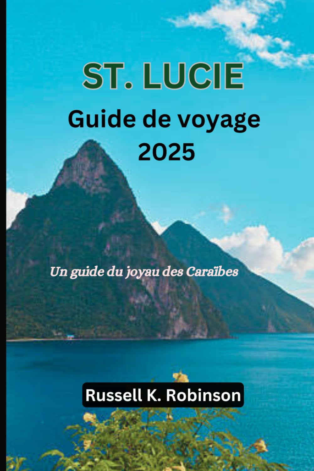 St. Lucie Guide de voyage 2025: Un guide du joyau des Caraïbes book