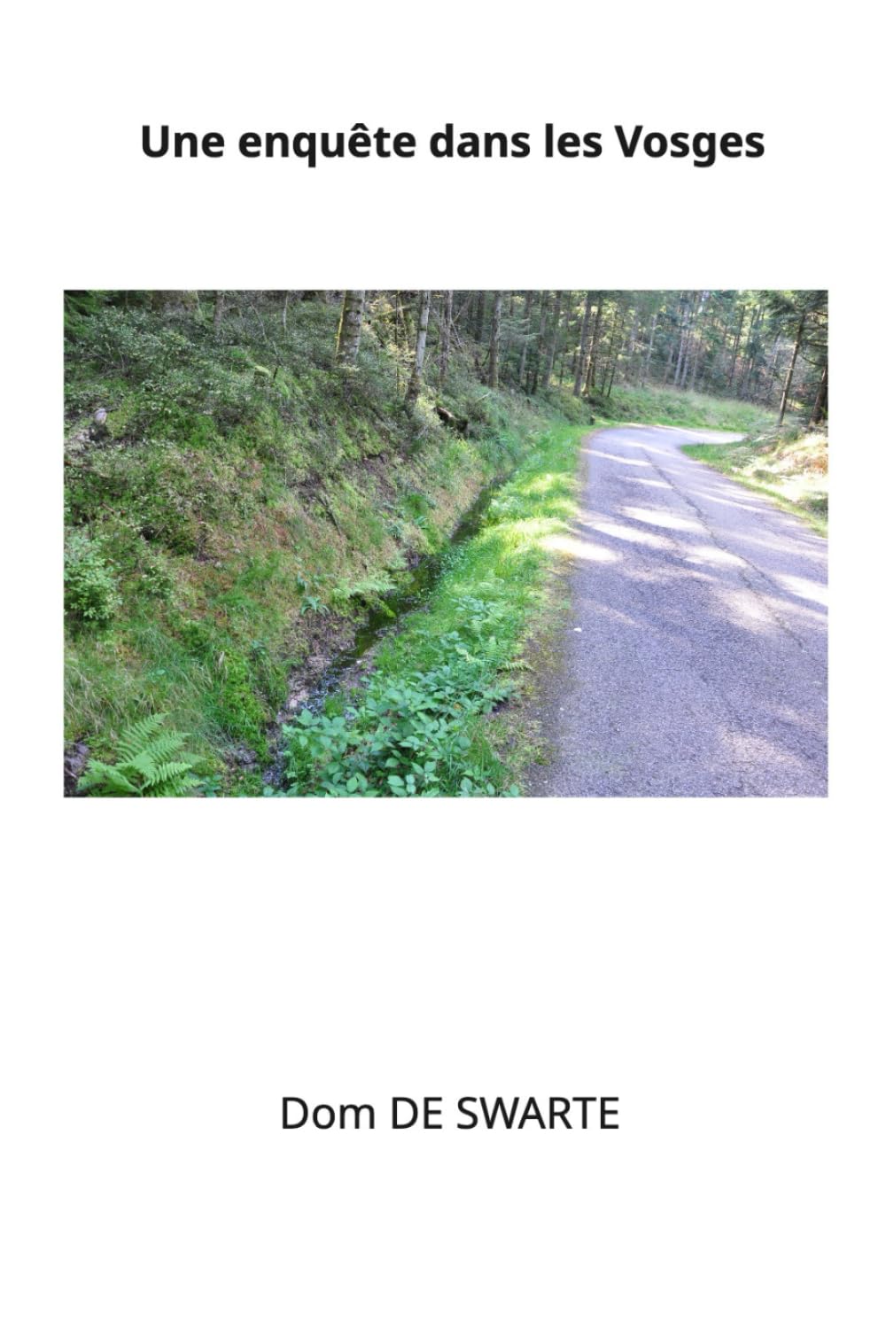 Une enquête dans les Vosges book