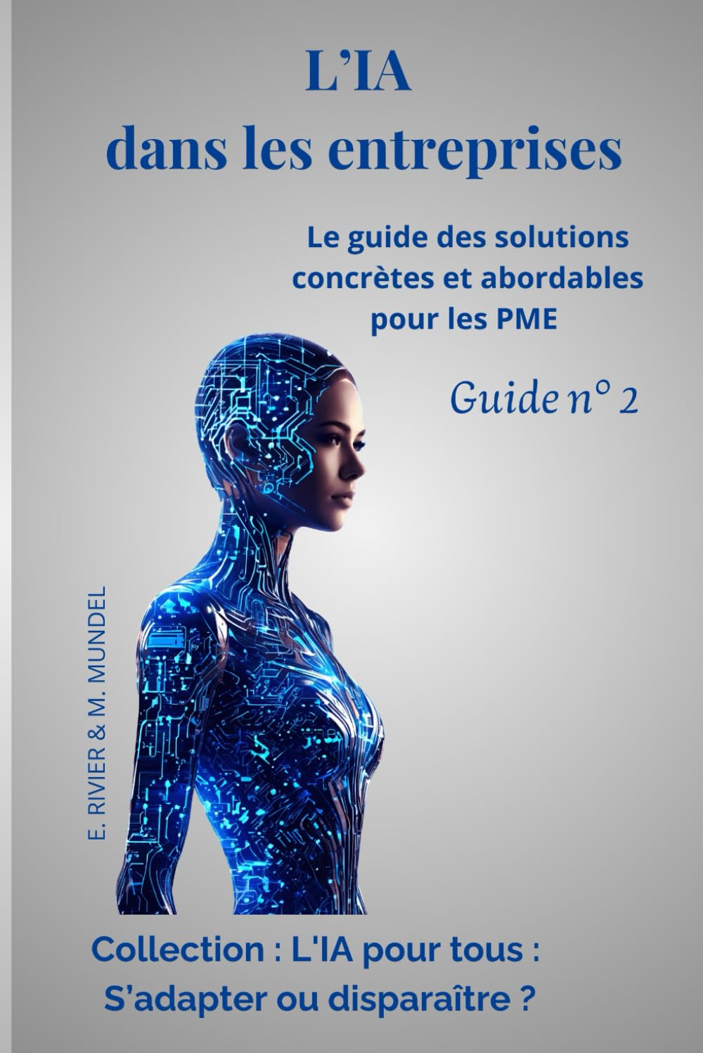 L'IA dans les entreprises: Le guide des solutions concrètes et abordables pour les PME Guide N°2 book