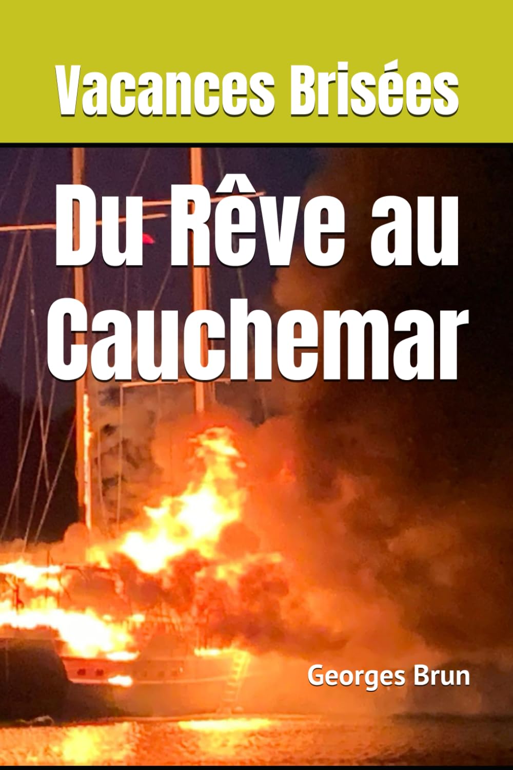 Vacances Brisées: Du Rêve au Cauchemar book