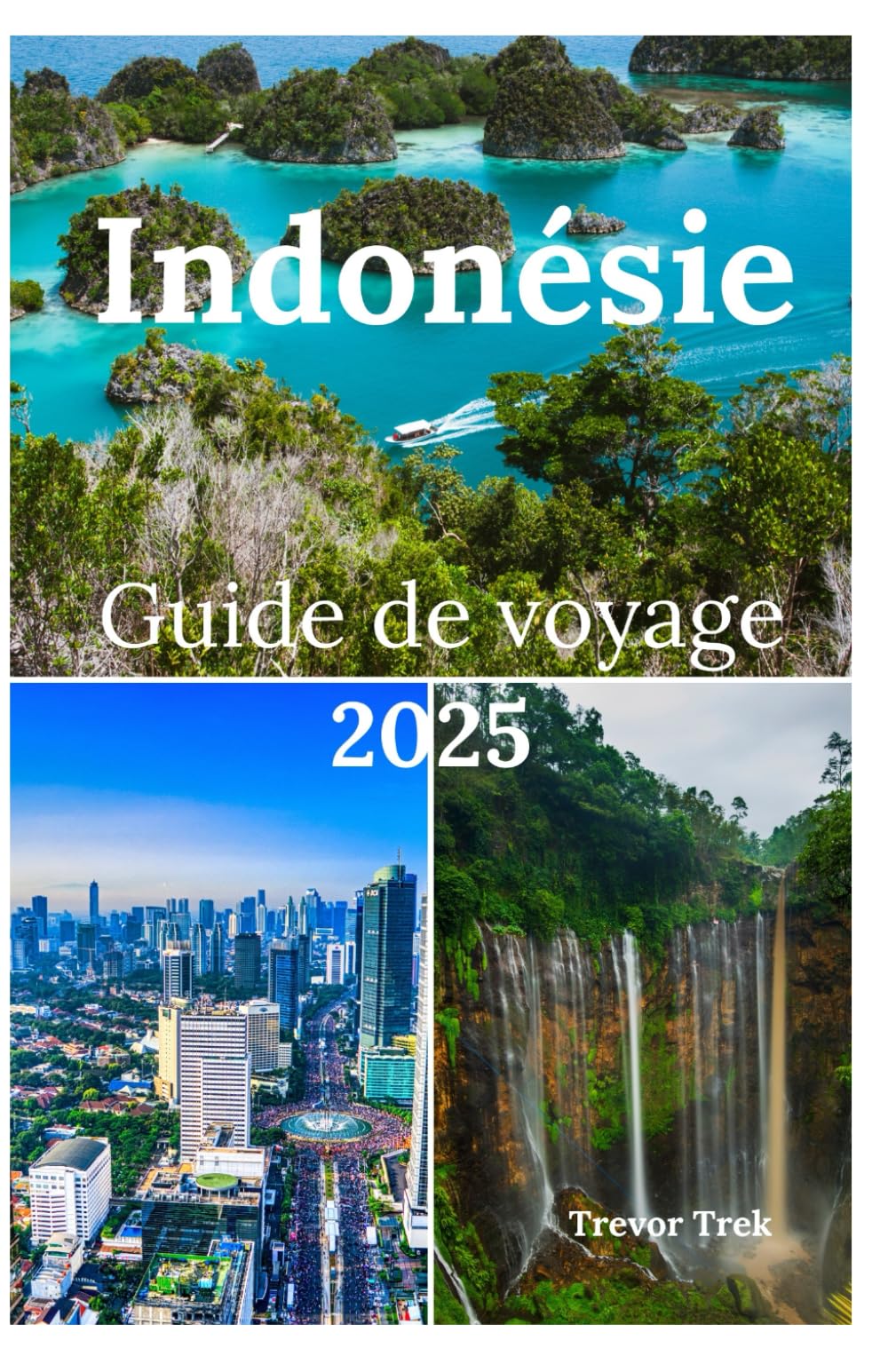Indonésie Guide de voyage 2025: Explorer des plages à couper le souffle, des merveilles naturelles, des activités d'aventure et des visites d'île en île sur l'île d'Émeraude book
