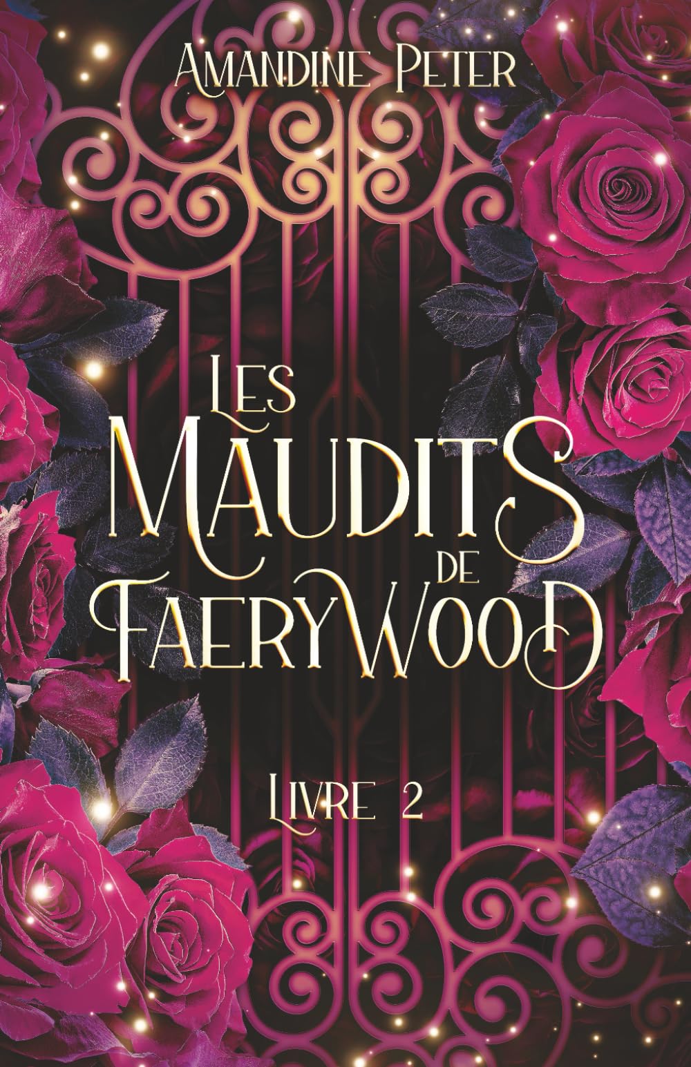 Les Maudits de Faerywood, Livre 2 Fantasy & Sci-Fi