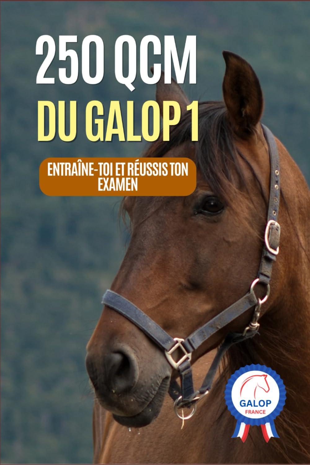 Galop 1 : 250 QCM pour réussir son examen: QCM et corrigés d'équitation - Niveau Galop 1 book