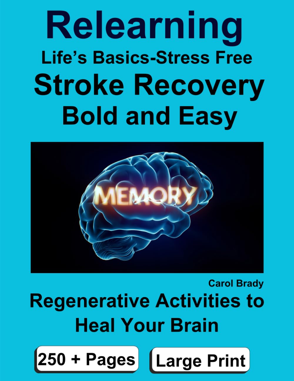 Relearning Life's Basics-Stress Free: Stroke Recovery/Bold and Easy: Regenerative Activities to heal your Brain, 250+ pages, Large Print Medicine