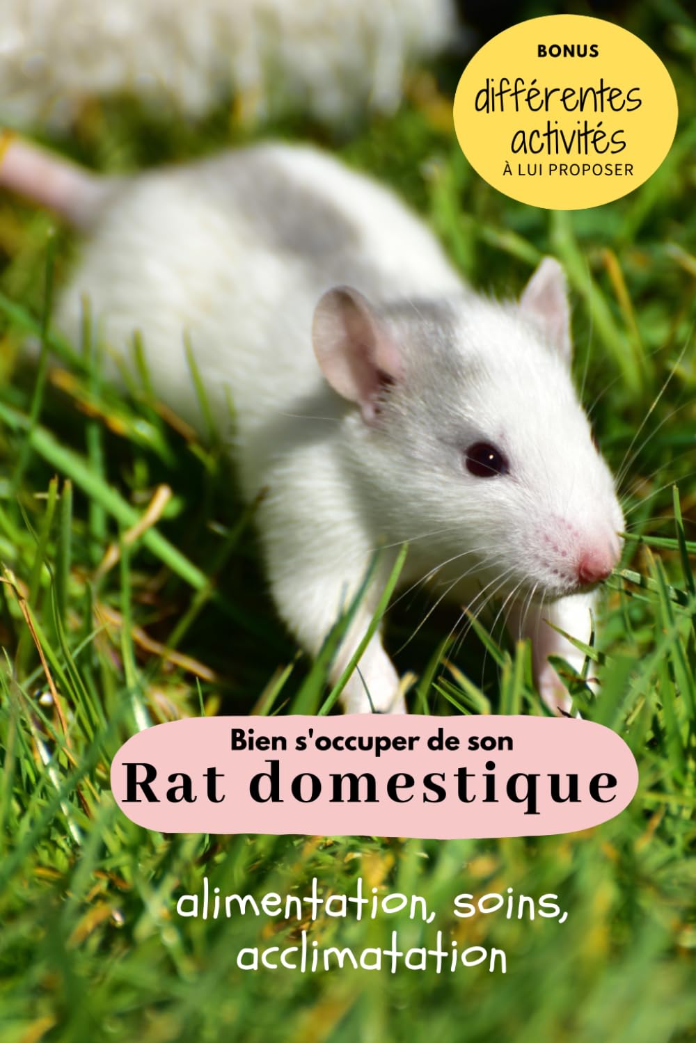 Bien s'occuper de son rat domestique: alimentation, soins, éducation, acclimatation, accessoires book
