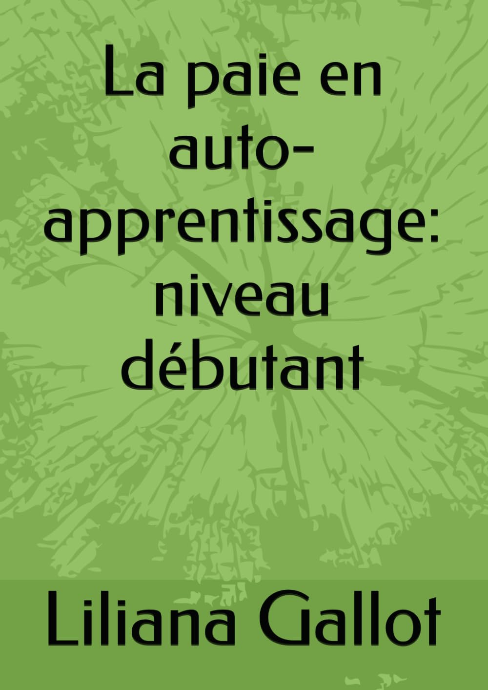 La paie en auto-apprentissage : niveau débutant book