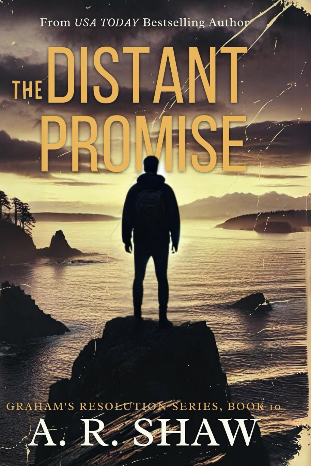 The Distant Promise: A Post-Apocalyptic Survival Fiction Thriller book