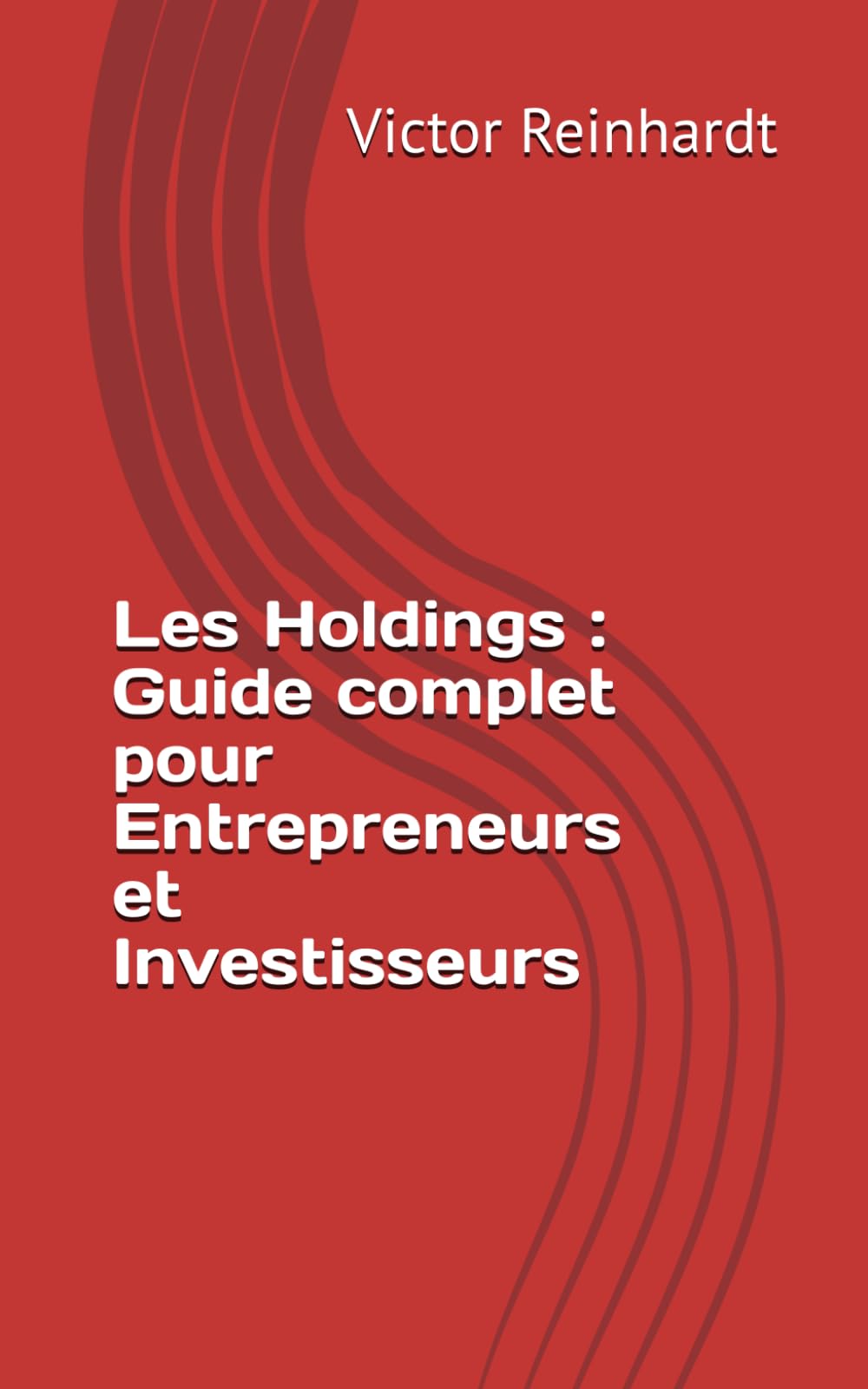 Les Holdings : Guide complet pour Entrepreneurs et Investisseurs book