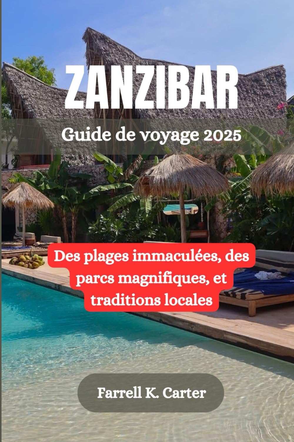 ZANZIBAR Guide de voyage 2025: Des plages immaculées, des parcs magnifiques, et traditions locales book