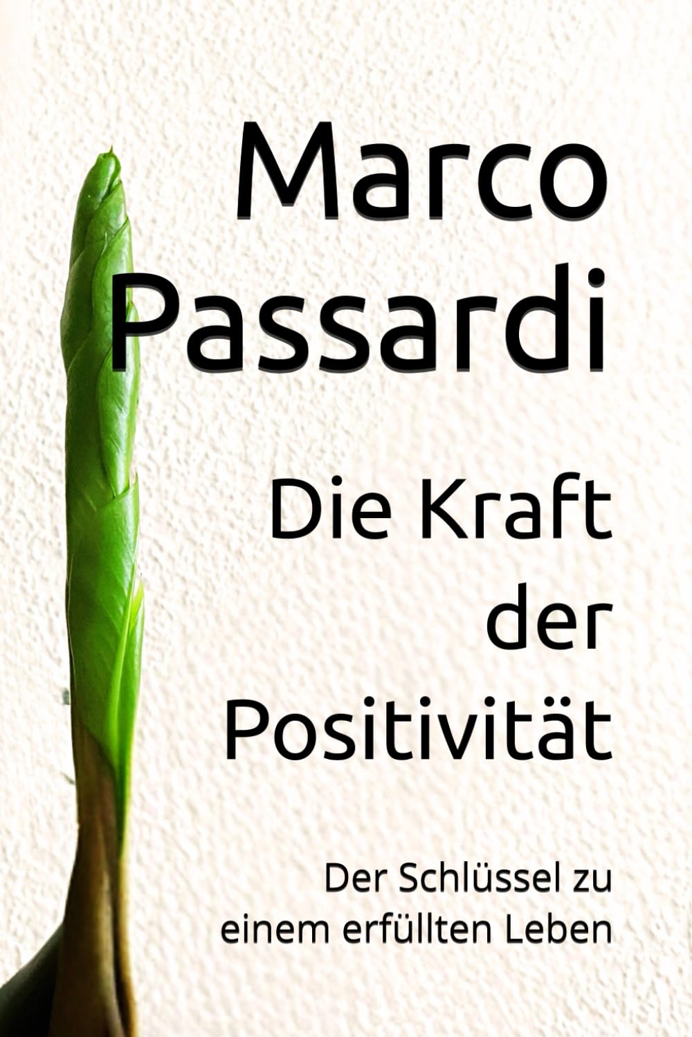 Die Kraft der Positivität: Der Schlüssel zu einem erfüllten Leben book