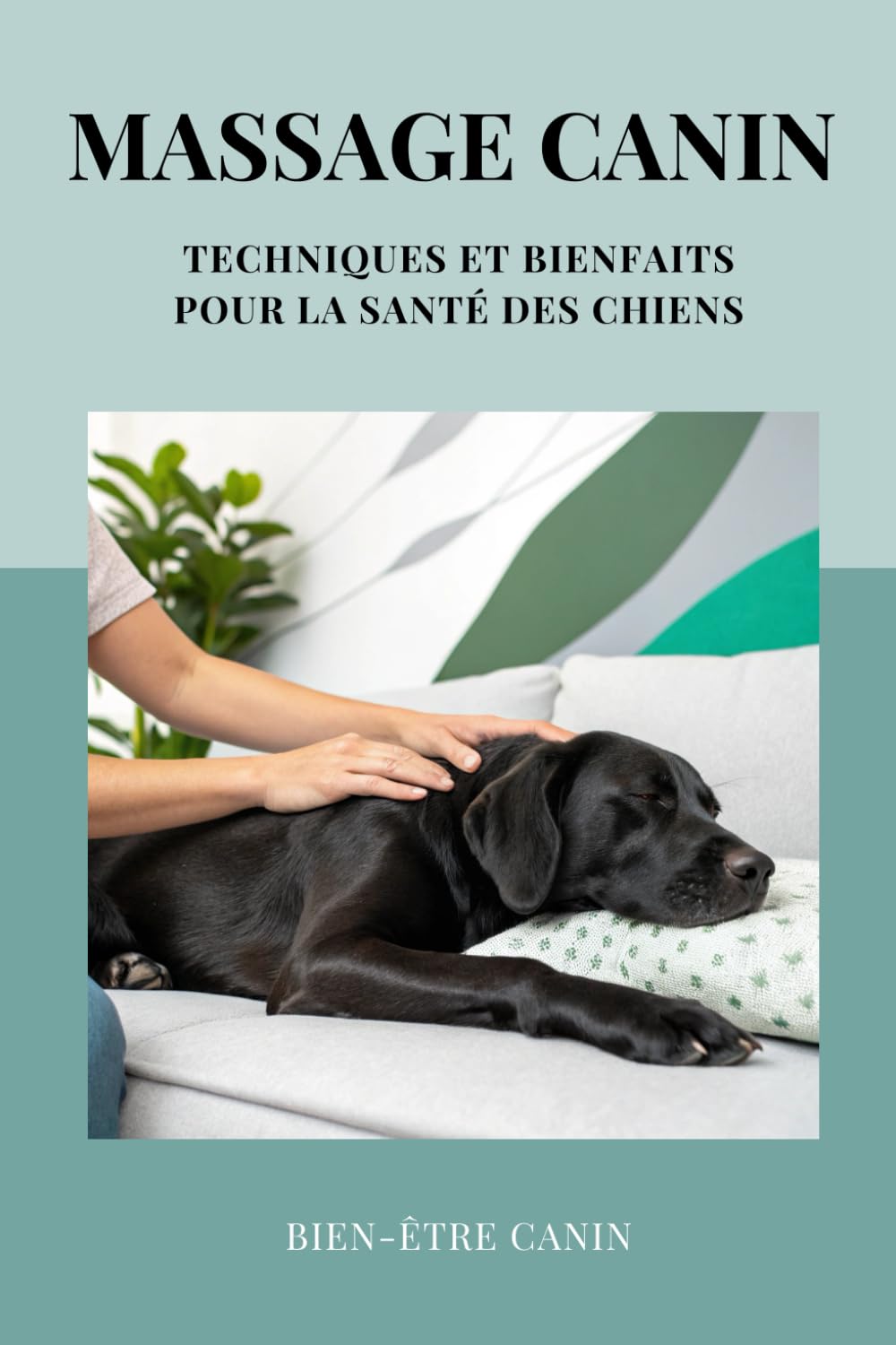 Massage Canin - Techniques et Bienfaits pour la santé des chiens: Un livre complet afin d'améliorer le bien-être des chiens grâce au pouvoir du toucher. book