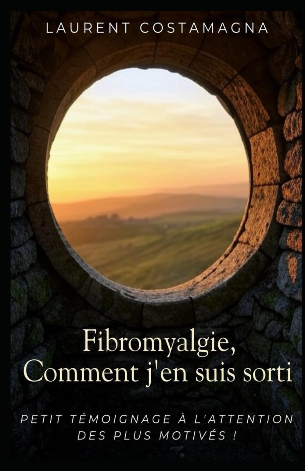 Fibromyalgie, Comment j'en suis sorti: Petit témoignage à l'attention des plus motivés ! book