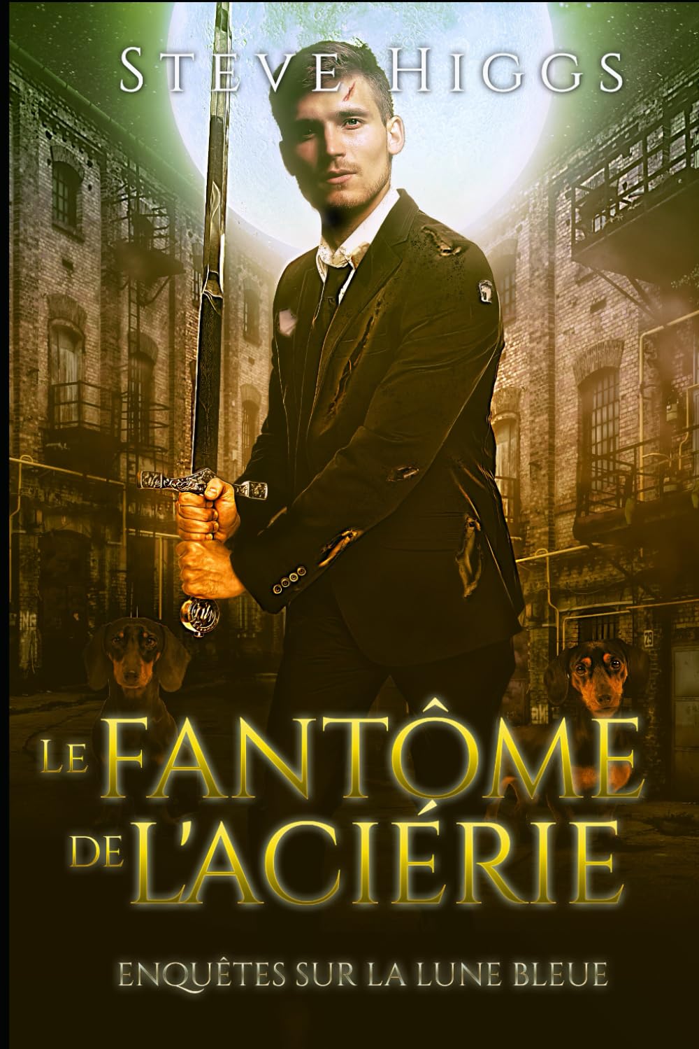 Le fantôme de l'aciérie: Enquêtes sur la lune bleue Livre 2 book