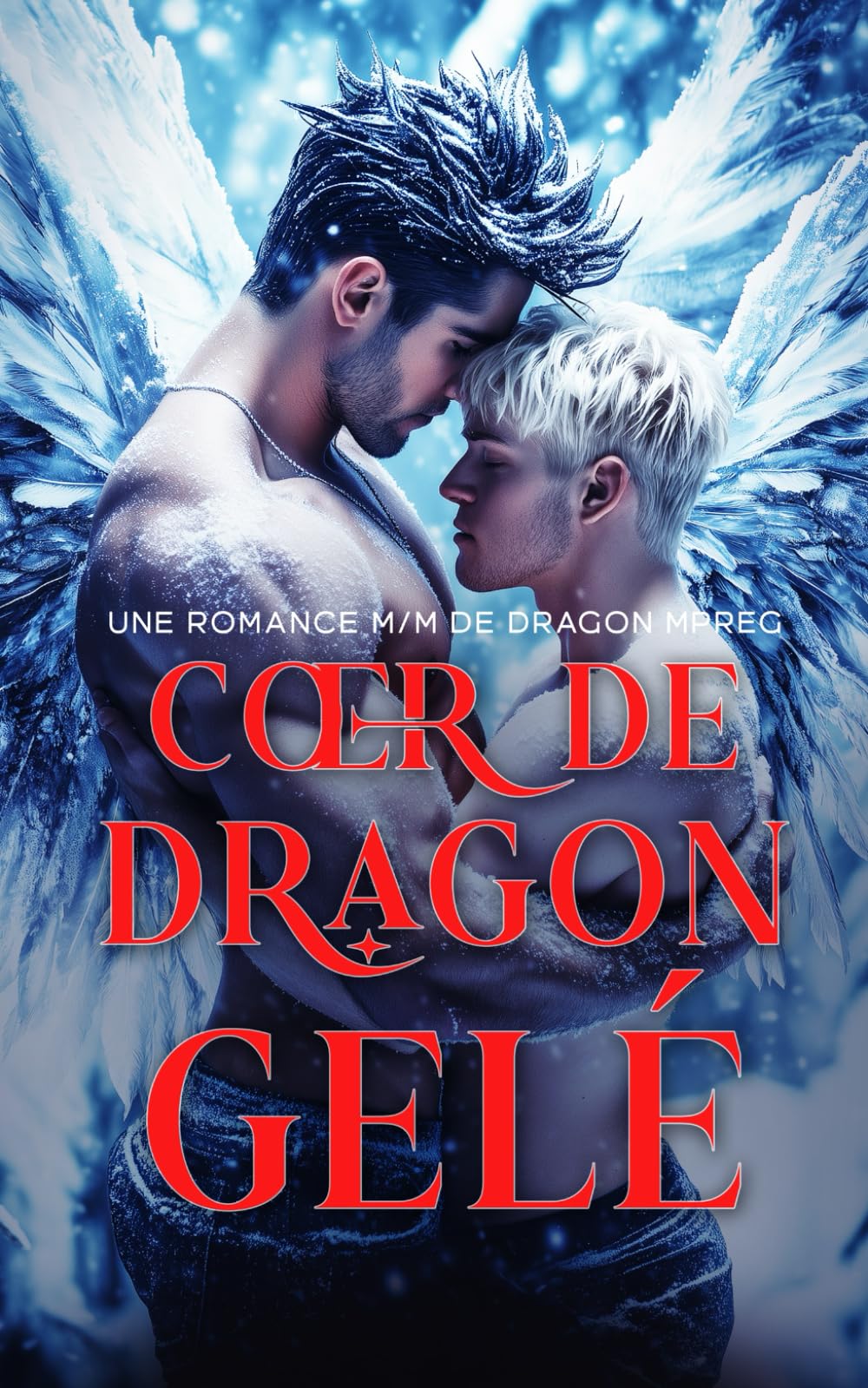 Cœur de Dragon Gelé: Une romance M/M de dragon Mpreg book
