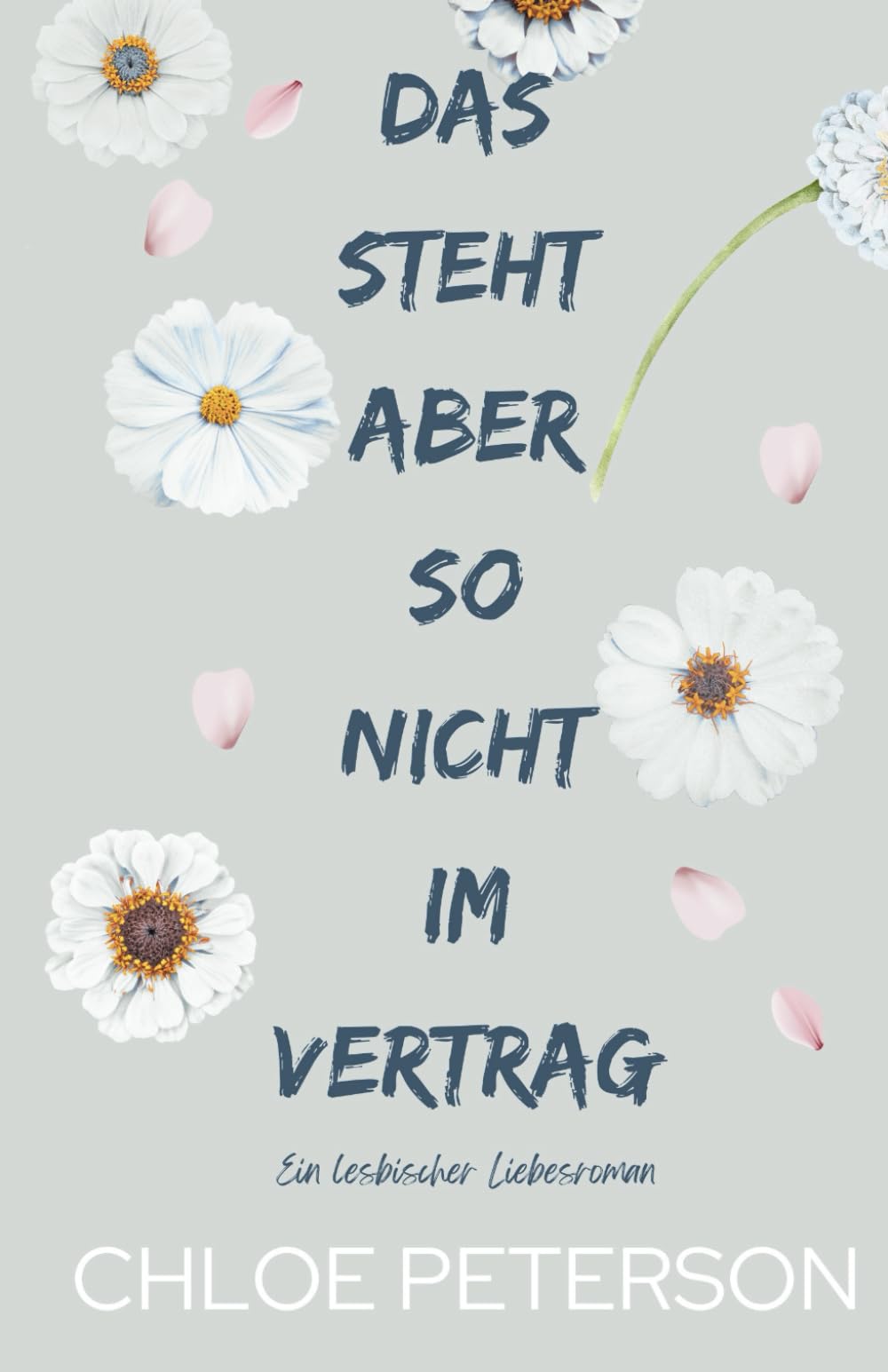 Das steht aber so nicht im Vertrag (Liebe ohne Verträge, Band 4) LGBTQ+