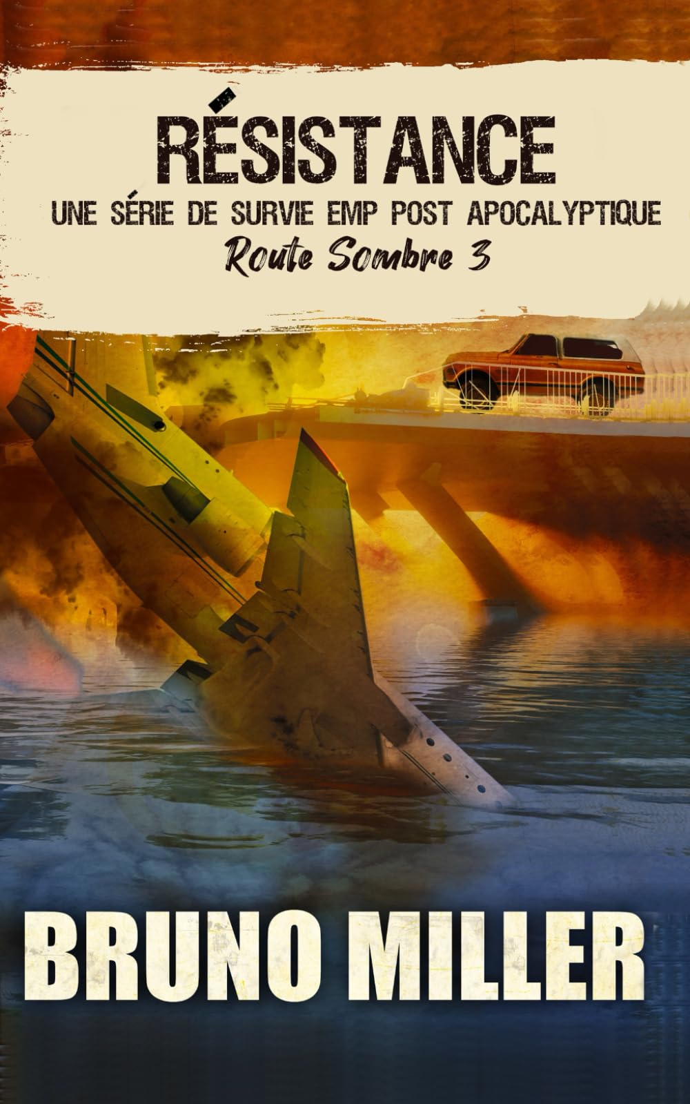 Résistance: Une série de survie EMP post-apocalyptique book