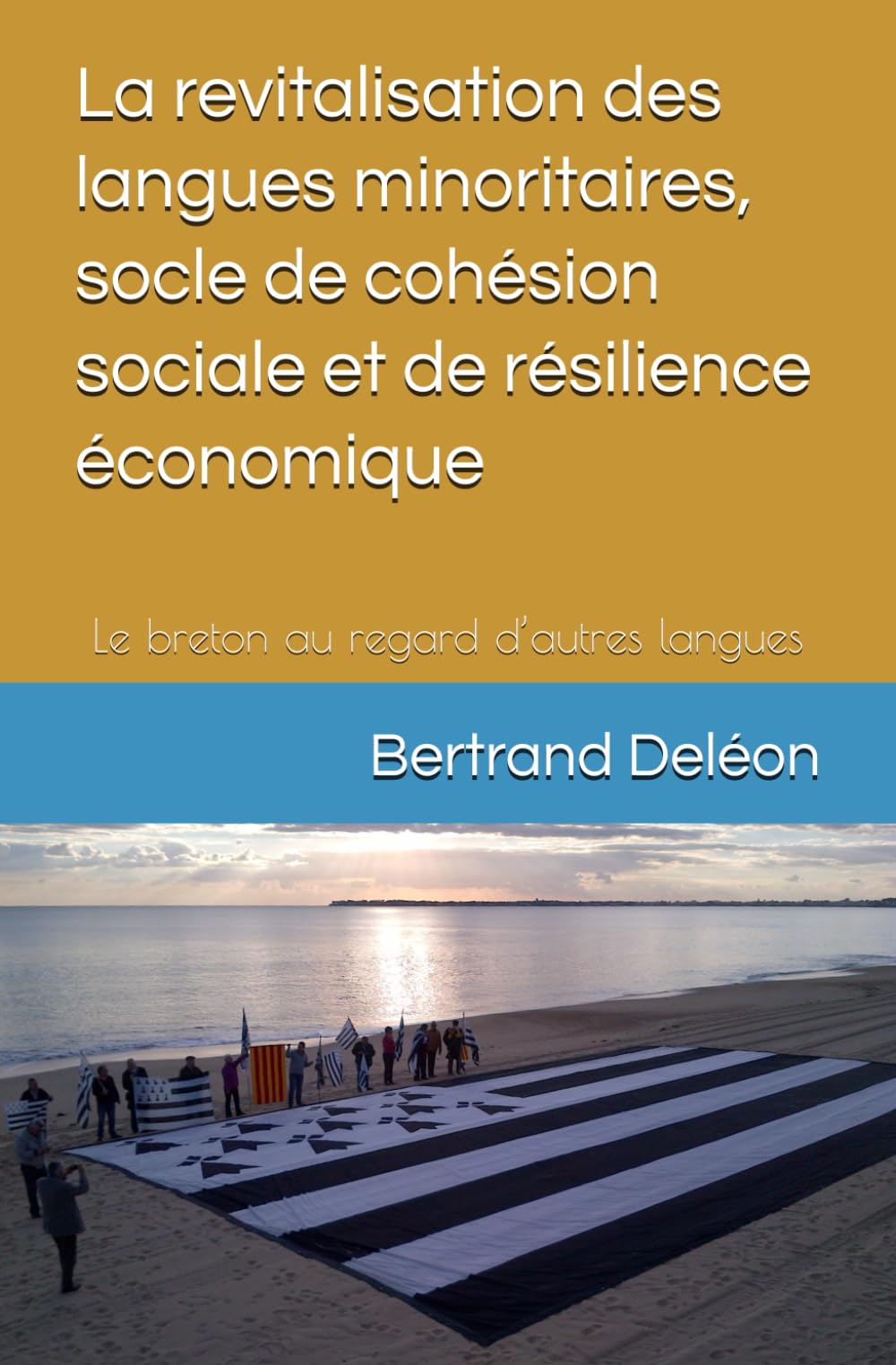 La revitalisation des langues minoritaires, socle de cohésion sociale et de résilience économique: Le breton au regard d’autres langues book