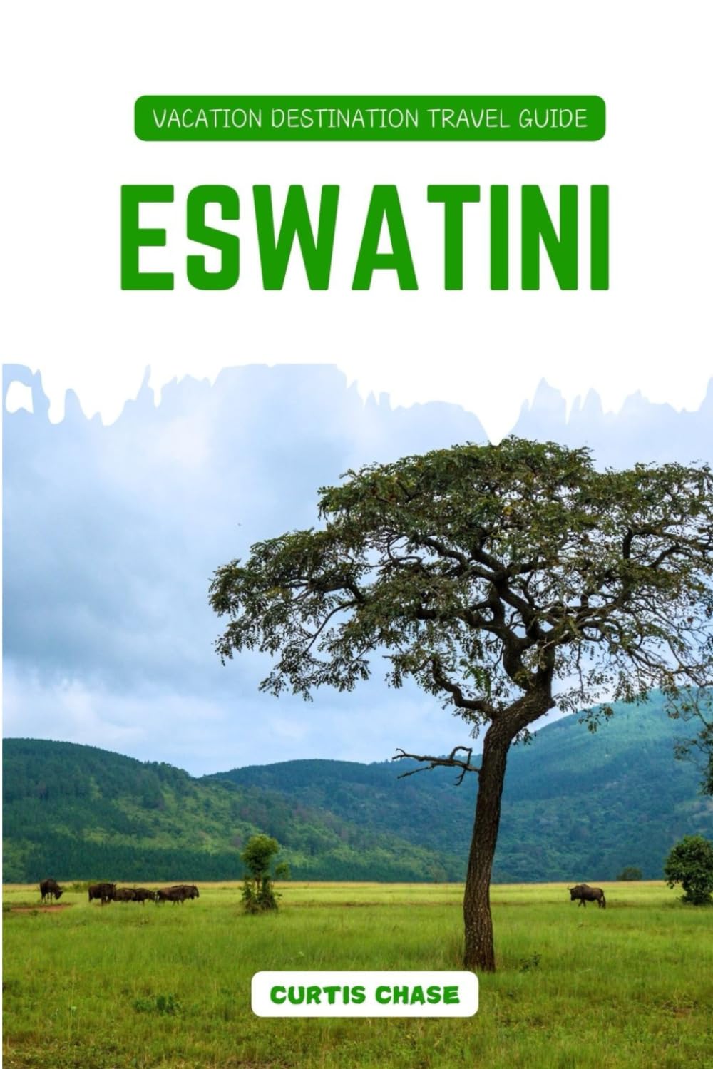 Vacation Destination Travel Guide to Eswatini: Eswatini Sightseeing and Adventure Guide: Discover Wildlife Safaris, National Parks and Cultural Festivals Travel Guides