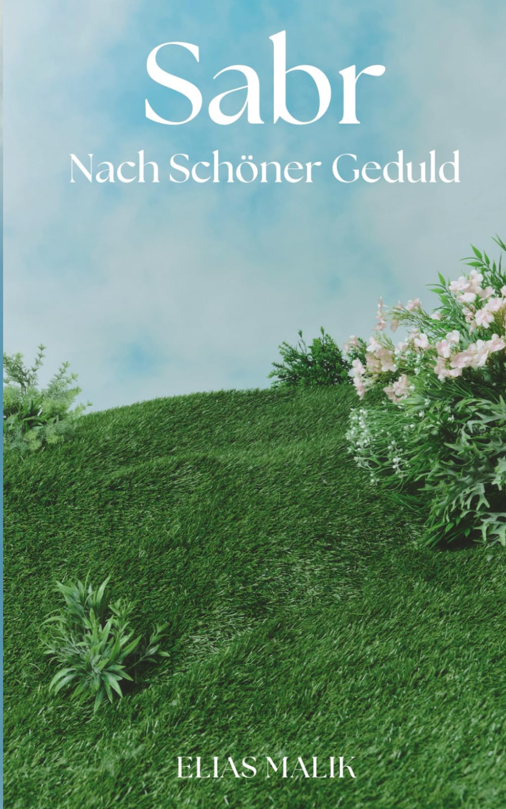 Sabr - Nach Schöner Geduld: Weisheiten, Zitate, Duas und Hadithe (islamische Bücher) (Inspirierende Islamische Bücher) Philosophy